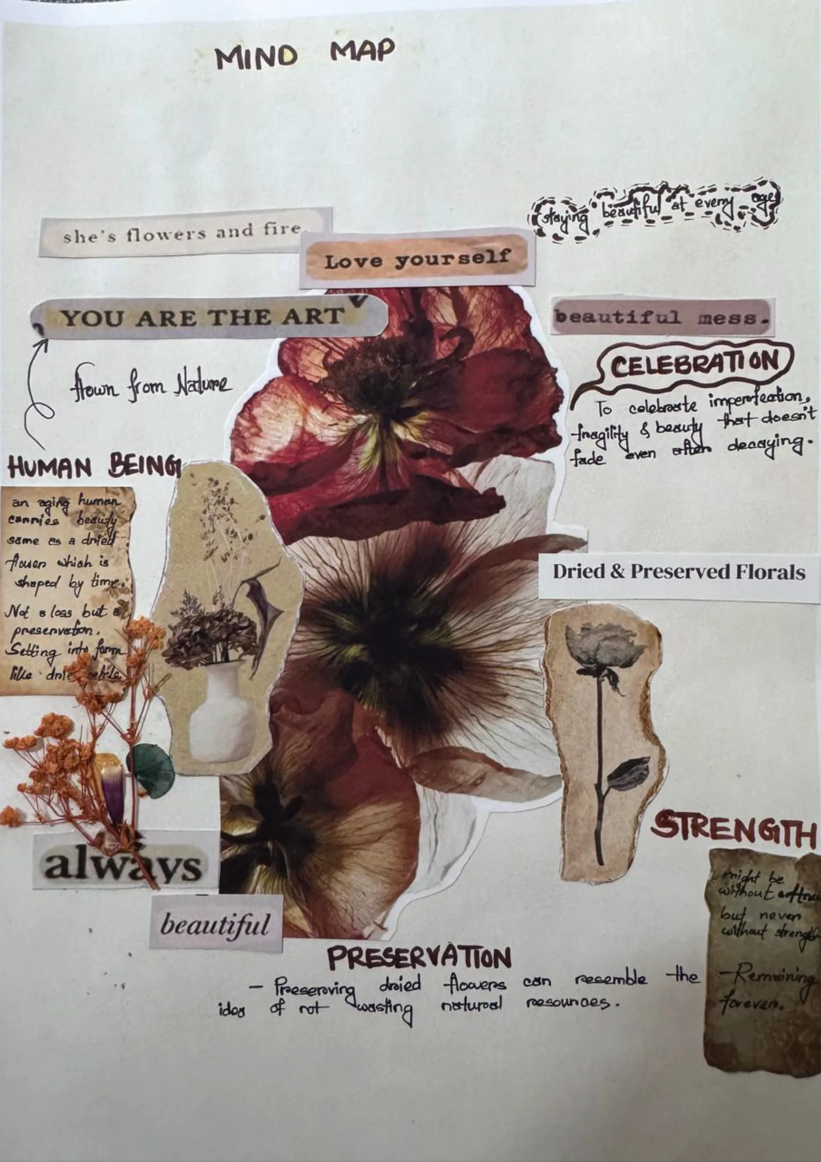 Narin Juhi portfolio, page 24 of 34